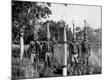 Photographic Print