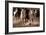 About Face-Lisa Dearing-Framed Photographic Print