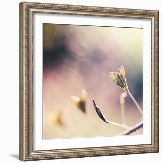 About You-Maria J Campos-Framed Photographic Print