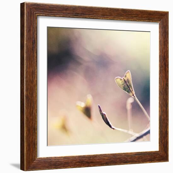 About You-Maria J Campos-Framed Photographic Print