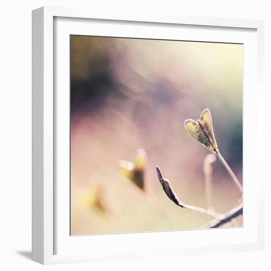 About You-Maria J Campos-Framed Photographic Print