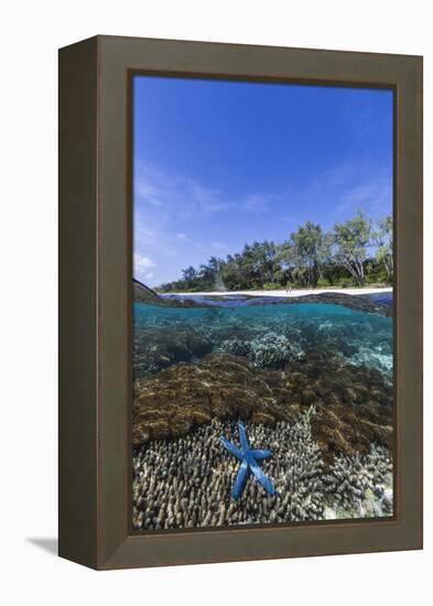 Above and Below View of Coral Reef and Sandy Beach on Jaco Island, Timor Sea, East Timor, Asia-Michael Nolan-Framed Premier Image Canvas