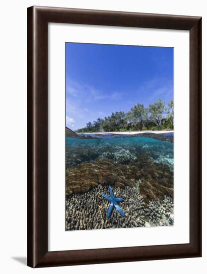 Above and Below View of Coral Reef and Sandy Beach on Jaco Island, Timor Sea, East Timor, Asia-Michael Nolan-Framed Photographic Print