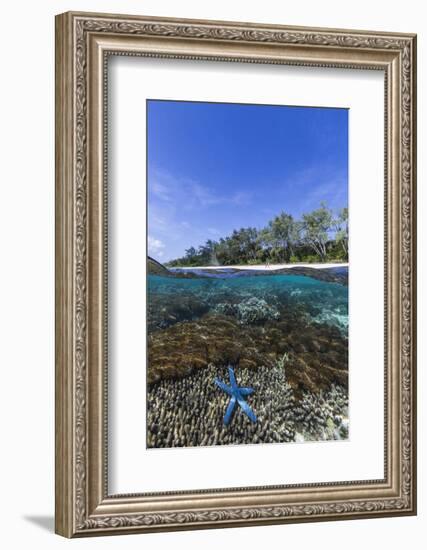 Above and Below View of Coral Reef and Sandy Beach on Jaco Island, Timor Sea, East Timor, Asia-Michael Nolan-Framed Photographic Print