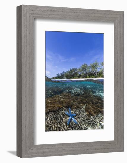 Above and Below View of Coral Reef and Sandy Beach on Jaco Island, Timor Sea, East Timor, Asia-Michael Nolan-Framed Photographic Print