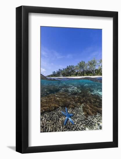 Above and Below View of Coral Reef and Sandy Beach on Jaco Island, Timor Sea, East Timor, Asia-Michael Nolan-Framed Photographic Print