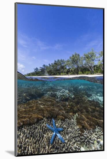 Above and Below View of Coral Reef and Sandy Beach on Jaco Island, Timor Sea, East Timor, Asia-Michael Nolan-Mounted Photographic Print