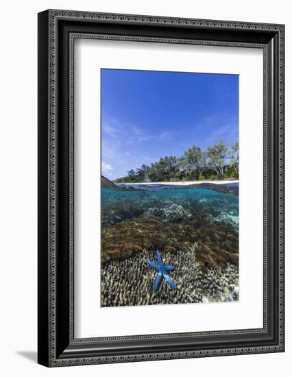 Above and Below View of Coral Reef and Sandy Beach on Jaco Island, Timor Sea, East Timor, Asia-Michael Nolan-Framed Photographic Print