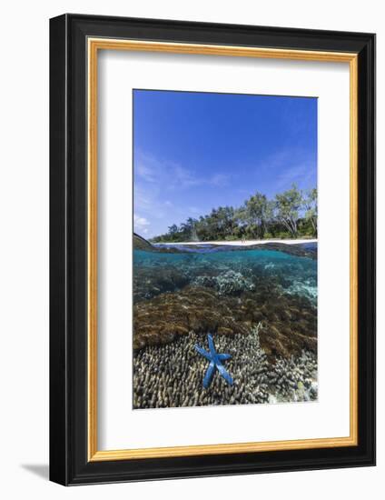 Above and Below View of Coral Reef and Sandy Beach on Jaco Island, Timor Sea, East Timor, Asia-Michael Nolan-Framed Photographic Print