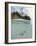 Above and Below View of Mangroves-Stuart Westmorland-Framed Photographic Print