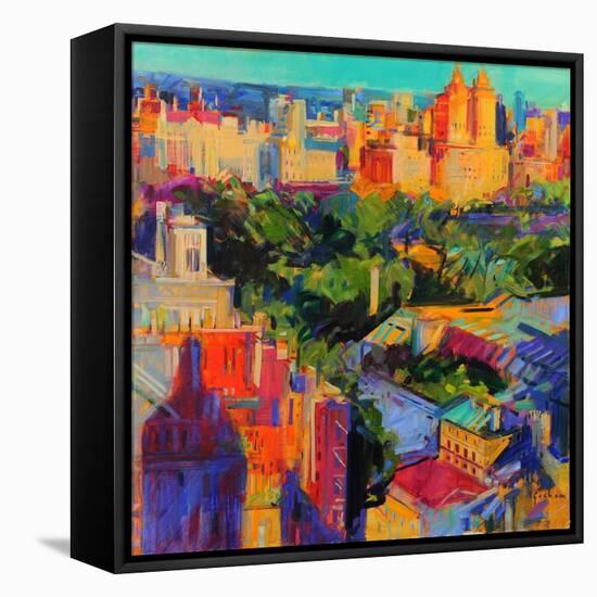 Above Central Park-Peter Graham-Framed Premier Image Canvas