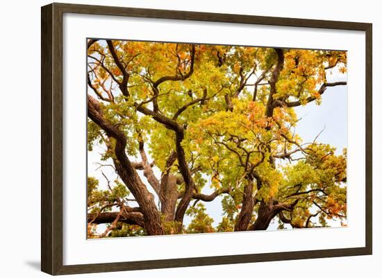 Above Colors-Philippe Sainte-Laudy-Framed Photographic Print