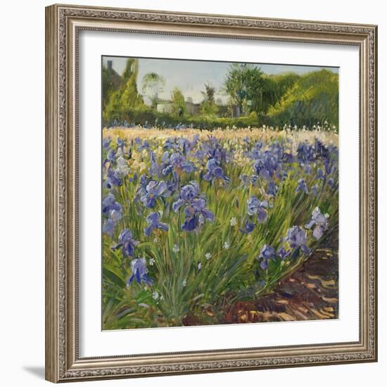Above the Blue Irises-Timothy Easton-Framed Giclee Print