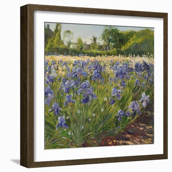 Above the Blue Irises-Timothy Easton-Framed Giclee Print