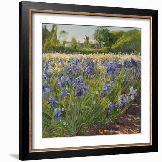 Above the Blue Irises-Timothy Easton-Framed Giclee Print