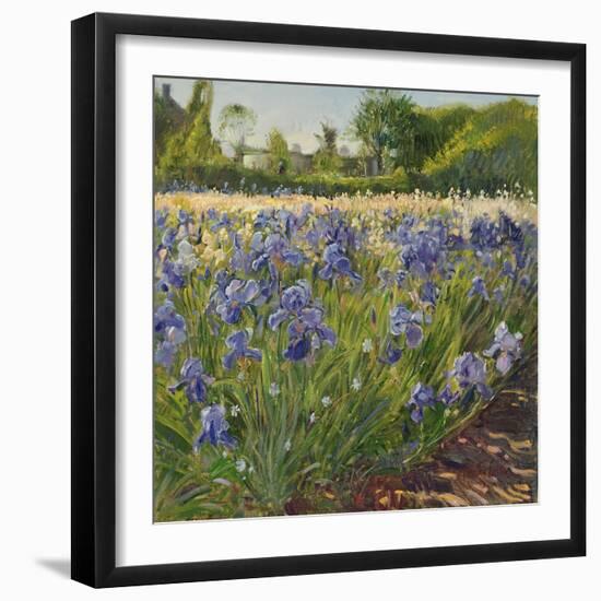 Above the Blue Irises-Timothy Easton-Framed Giclee Print