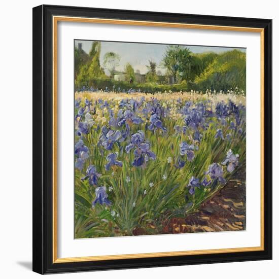 Above the Blue Irises-Timothy Easton-Framed Giclee Print