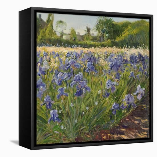 Above the Blue Irises-Timothy Easton-Framed Premier Image Canvas