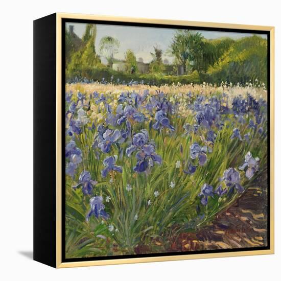 Above the Blue Irises-Timothy Easton-Framed Premier Image Canvas