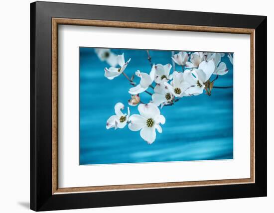 Above the Flux-Philippe Sainte-Laudy-Framed Photographic Print