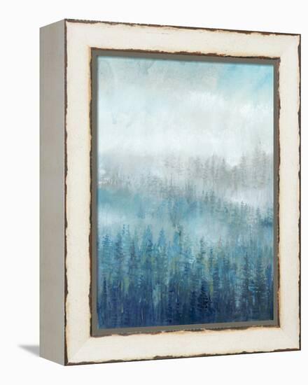 Above the Mist I-Tim O'toole-Framed Stretched Canvas