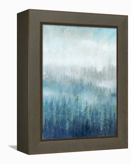 Above the Mist I-Tim O'toole-Framed Stretched Canvas