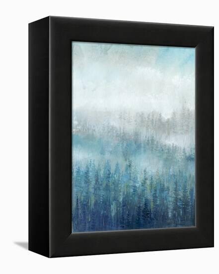 Above the Mist I-Tim O'toole-Framed Stretched Canvas