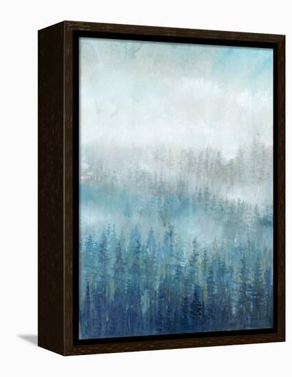 Above the Mist I-Tim O'toole-Framed Stretched Canvas