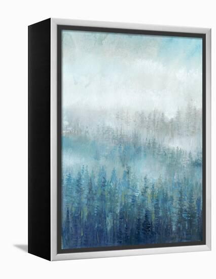 Above the Mist I-Tim O'toole-Framed Stretched Canvas