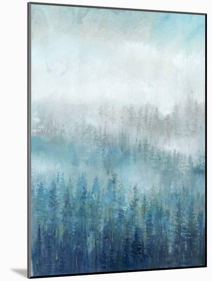 Above the Mist I-Tim OToole-Mounted Art Print