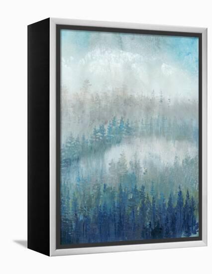 Above the Mist II-Tim O'toole-Framed Stretched Canvas