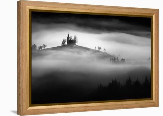 Above the mist-Sandi Bertoncelj-Framed Premier Image Canvas