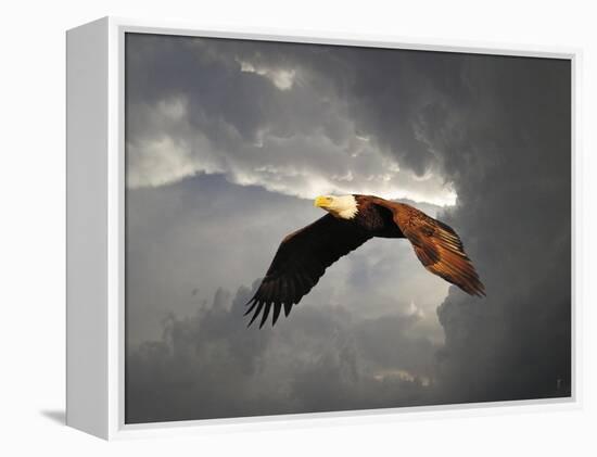 Above the Storm Bald Eagle-Jai Johnson-Framed Premier Image Canvas