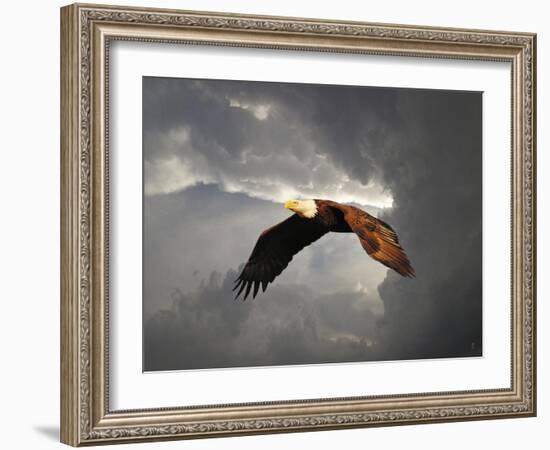 Above the Storm Bald Eagle-Jai Johnson-Framed Giclee Print