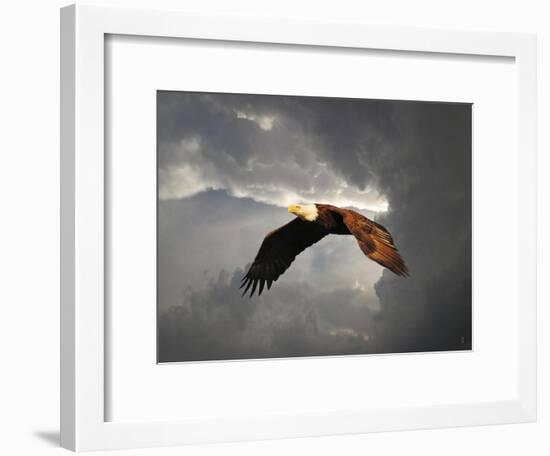 Above the Storm Bald Eagle-Jai Johnson-Framed Giclee Print