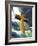 Above the Storm-Nate Owens-Framed Giclee Print