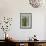 Above View of Box Shrubs in Green Metal Planters in Corner of Garden, Chelsea, UK-Pedro Silmon-Framed Photo displayed on a wall