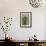 Above View of Box Shrubs in Green Metal Planters in Corner of Garden, Chelsea, UK-Pedro Silmon-Framed Photo displayed on a wall