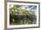 Above Water and Below Water View of Mangrove with Juvenile Snapper and Jack-James White-Framed Photographic Print