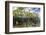 Above Water and Below Water View of Mangrove with Juvenile Snapper and Jack-James White-Framed Photographic Print