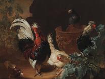 A Rooster, Two Chickens and Two Pigeons by an Antique Chipped Terra Cotta Vase in a Landscape, 1695-Abraham Bisschop-Mounted Giclee Print