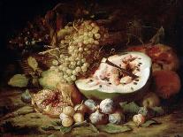 Still Life with Cherries, Watermelon, Peaches, Apricots, Plums, Pomegranates and Figures, 17Th Cent-Abraham Brueghel-Giclee Print