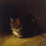 Study of a Cat, 1817-Abraham Cooper-Giclee Print