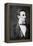 Abraham Lincoln, 16th President of the United States, 1860S-Alexander Hessler-Framed Premier Image Canvas