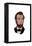 Abraham Lincoln - Icon-Lantern Press-Framed Stretched Canvas