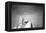 Abraham Lincoln Memorial b/w-null-Framed Stretched Canvas