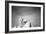 Abraham Lincoln Memorial b/w-null-Framed Photo