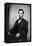 Abraham Lincoln-null-Framed Stretched Canvas