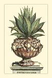 Scenic Botanical I-Abraham Munting-Art Print