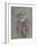 Abraham-Jacopo Bassano-Framed Giclee Print